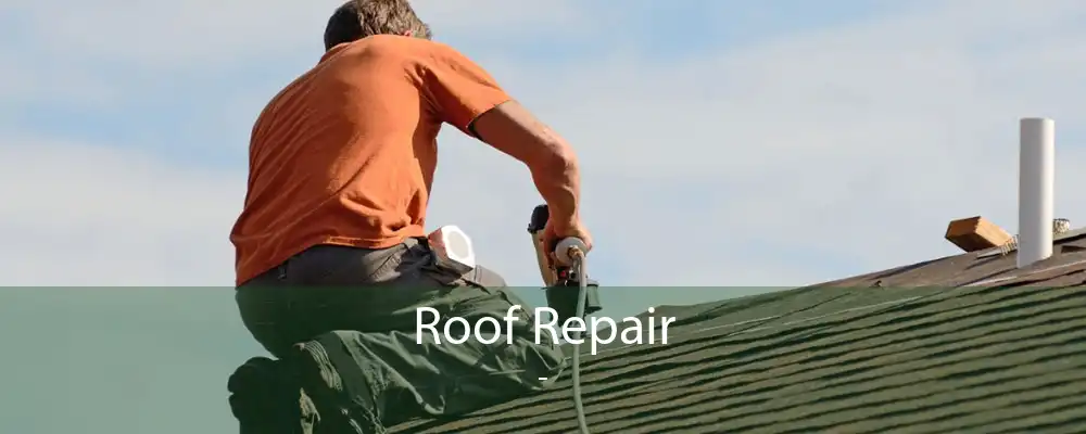 Roof Repair  - 